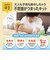 【当商品送料無料】ぷにょぷにょアクアリウム 海のなかまたち KJT120421 通販 おもちゃ オモチャ 玩具 知育玩具 工作 知育 化学反応 化学