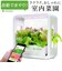 【当商品送料無料】水耕栽培キット 通販 水耕栽培 野菜栽培 家庭菜園 屋内用水耕栽培キット 自動水やり 室内菜園 自動調整 アプリ管理 野菜育成