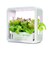 【当商品送料無料】水耕栽培キット 通販 水耕栽培 野菜栽培 家庭菜園 屋内用水耕栽培キット 自動水やり 室内菜園 自動調整 アプリ管理 野菜育成