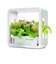 【当商品送料無料】水耕栽培キット 通販 水耕栽培 野菜栽培 家庭菜園 屋内用水耕栽培キット 自動水やり 室内菜園 自動調整 アプリ管理 野菜育成