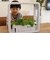 【当商品送料無料】水耕栽培キット 通販 水耕栽培 野菜栽培 家庭菜園 屋内用水耕栽培キット 自動水やり 室内菜園 自動調整 アプリ管理 野菜育成