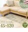 【当商品送料無料】玄関マット 室内 洗える 45x120 通販 玄関 マット 屋内 120 インテリアマット 120cm げんかん 小さめ