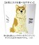 【当商品送料無料】真空断熱タンブラー セラミック 通販 ステンレスタンブラー タンブラー キープタンブラー セラミックタンブラー セラミック加工