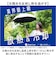 【当商品送料無料】ラディクール 日傘 Radi-Cool 通販 晴雨兼用折りたたみ傘 折りたたみ日傘 晴雨兼用傘 折りたたみ傘 折り畳み傘 完全遮光