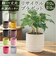 【当商品送料無料】植木鉢 プラスチック 丸型 通販 SK ステップ 12xH12 鉢 約 3.5号 鉢カバー プランター プラポット