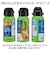 【当商品送料無料】スケーター 水筒 キャラクター stch6 通販 マグ 600ｍl Skater マグボトル ステンレスマグボトル