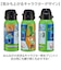 【当商品送料無料】スケーター 水筒 キャラクター stch6 通販 マグ 600ｍl Skater マグボトル ステンレスマグボトル