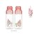 【当商品送料無料】スケーター 水筒 透明 ボトル 通販 skater PSPR5MC 480ml 約 500ml クリアボトル マイボトル