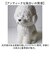 【当商品送料無料】傘立て 動物 通販 Animal vase アニマルベース アンブレラ 収納 花びん 花瓶 アンブレラスタンド フラワーベース