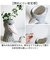 【当商品送料無料】傘立て 動物 通販 Animal vase アニマルベース アンブレラ 収納 花びん 花瓶 アンブレラスタンド フラワーベース