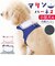 【当商品送料無料】ハーネス 小型犬 セーラー服 通販 犬用ハーネス 犬ハーネス ドッグハーネス 胴輪 犬 Marine マリン 犬用 ペット用