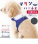 【当商品送料無料】ハーネス 小型犬 セーラー服 通販 犬用ハーネス 犬ハーネス ドッグハーネス 胴輪 犬 Marine マリン 犬用 ペット用