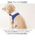 【当商品送料無料】ハーネス 小型犬 セーラー服 通販 犬用ハーネス 犬ハーネス ドッグハーネス 胴輪 犬 Marine マリン 犬用 ペット用