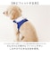【当商品送料無料】ハーネス 小型犬 セーラー服 通販 犬用ハーネス 犬ハーネス ドッグハーネス 胴輪 犬 Marine マリン 犬用 ペット用