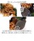 【当商品送料無料】お正月 リース S 通販 玄関リース 冬 玄関 飾り Sサイズ 玄関飾り 壁飾り 秋 正月飾り 花 オーナメント GREEN