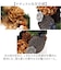 【当商品送料無料】お正月 リース S 通販 玄関リース 冬 玄関 飾り Sサイズ 玄関飾り 壁飾り 秋 正月飾り 花 オーナメント GREEN