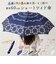 【当商品送料無料】レディース 傘 オシャレ 通販 カサ かさ コンパクト 雨傘 ショートワイド 雨の日 梅雨 こども 子供 子ども アンブレラ