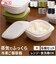 【当商品送料無料】like-it 蒸気であたためる冷凍ごはん容器 6個組 通販 日本製 保存容器 容器 冷凍 冷凍ごはん容器 冷凍ご飯容器 タッパー