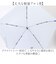 【当商品送料無料】Amane Air+ アマネ エアー 折りたたみ傘 55cm 通販 折り畳み傘 おりたたみ傘 雨傘 耐風傘 軽量 軽い 超軽量 傘