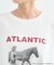 【別注】LIFE PICTURE COLLECTION / ATLANTIC CITY フォトT