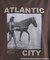 【別注】LIFE PICTURE COLLECTION / ATLANTIC CITY フォトT