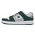 大きいサイズ【29cm 30cm】DC Shoes ディーシーシューズ MANTECA SE マンテカ SE DM251006-100 ホワイト/グリーン/グレー