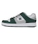 大きいサイズ【29cm 30cm】DC Shoes ディーシーシューズ MANTECA SE マンテカ SE DM251006-100 ホワイト/グリーン/グレー
