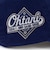 NEW ERA ニューエラ 大谷翔平 2024 MVP ドジャース 帽子 キャップ 9TWENTY Los Angeles Dodgers