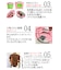 【Ball＆Chain/ボールアンドチェーン】VARIOUS VASES(L) 刺繍エコバッグ