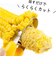 下村企販　キュートクック　とうもろこしカッター