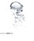 ビオデルマ（BIODERMA）　サンシビオ（Sensibio）　エイチツーオー　D　250mL