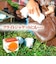 キャプトスタイル　マスタングペースト　100ml