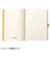 ロディア（RHODIA）　ロディアラマ　ゴールブック　A5　cf117807　アクア