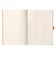 ロディア（RHODIA）　ロディアラマ　ゴールブック　A5　cf117805　セラドン