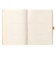 ロディア（RHODIA）　ロディアラマ　ゴールブック　A5　cf117805　セラドン