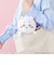 ドリームズ　ふんばるず　ハチワレ