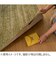日革研究所　ダニ捕りロボ　詰替用誘引マット　ラージサイズ　2枚組
