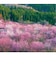 【2027年版・壁掛】　全協　フィルム　四季の彩　SB-279
