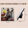 【2027年版・日めくり】　ONDORI　猫めくり