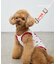【KIDS】【TOY STORY】ストレッチメッシュDOGウェア