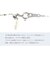 ネックレス チェーン プラチナ 最長45cm ペタル チェーンのみ 幅1.1mm 約0.9g PT850 長さ調整可能 LCC ララクリスティー