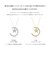 ムーン ダイヤモンド ネックレス 0.25ct PT900 プラチナ/K18 ゴールド
