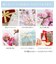 【選べるテディベア】ネックレス レディース キュービックジルコニア 一粒 テディベア 一粒CZ 誕生日 プレゼント シアーズ