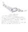 【選べる長さ40cm～60cm】シルバーチェーン カットフレンチロープ 幅 2.4mm 長さ 40 45 50 55 60cm メンズ レディース sfr50 プレゼント シアーズ