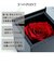 ネックレス ダンシング ストーン ハート ホースシュー プリザーブドフラワー ローズボックス付き