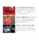 ネックレス レディース 一粒 ドロップ キュービックジルコニア プリザーブドフラワー 薔薇