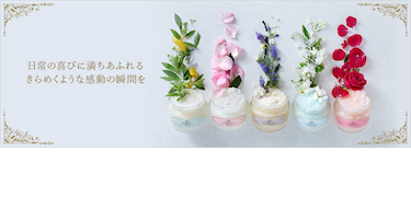 SABON