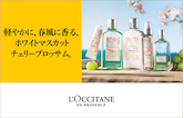 桜香る、プロヴァンスの春へ。
