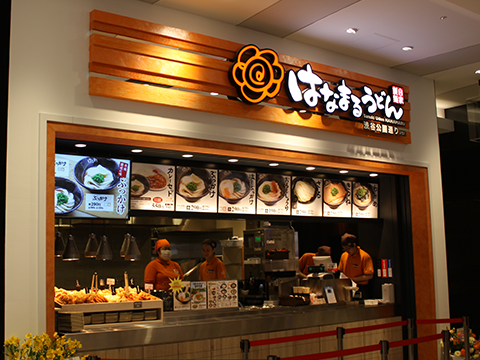 Sanuki Udon HANAMARU