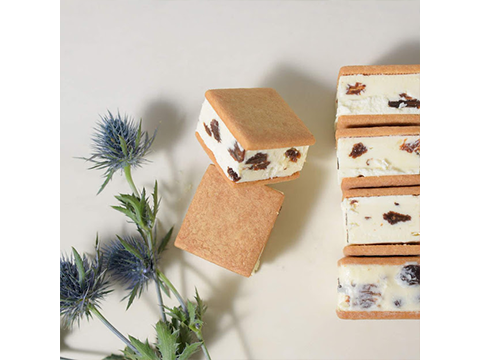 Raisin Sandwich